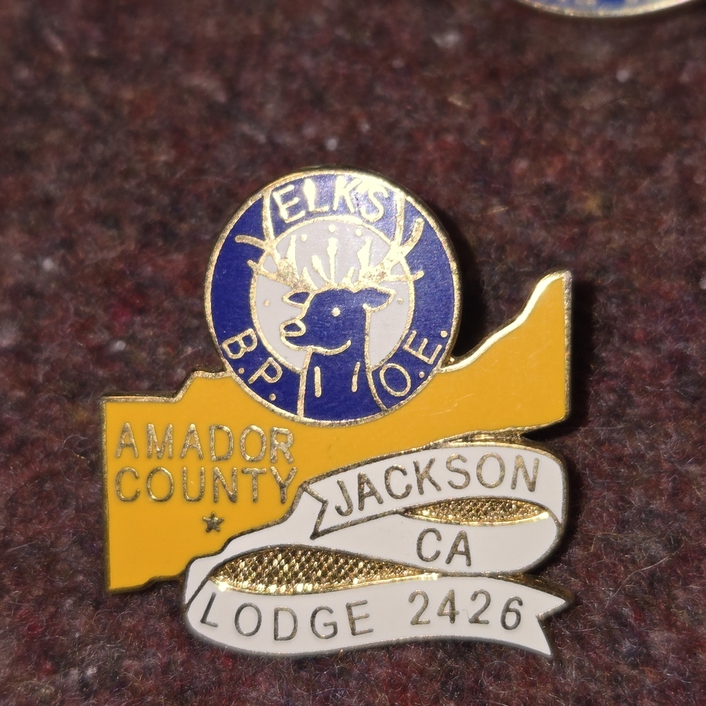 Lapel Pin Lot Of 5 Rotary Wounded Warrior Amador Elks - Picture 6 of 6